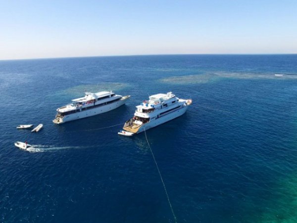 Diving-Redsea-explorers (9) (Anpassat).jpg