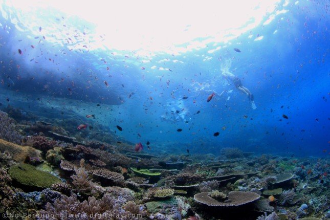 Mermaid_II_Bali-Komodo-Bali (26) (Anpassat).jpg