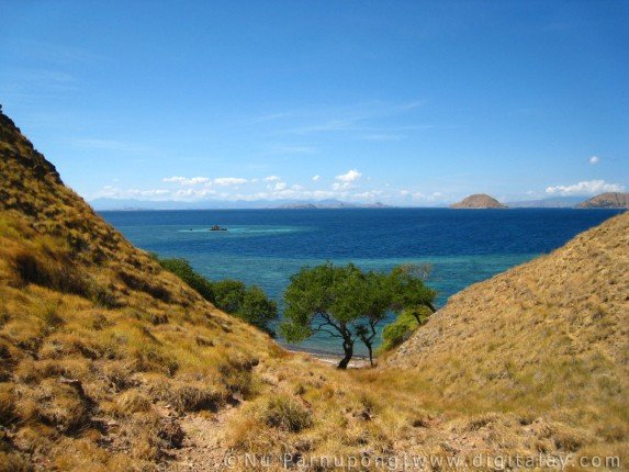 Mermaid_II_Bali-Komodo-Bali (28) (Anpassat).jpg