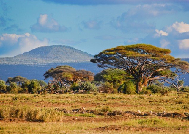 Kombinationsresa Sydafrika & Moçambique
