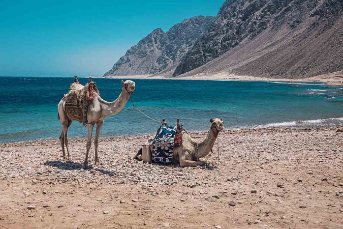 Dahab.jpg