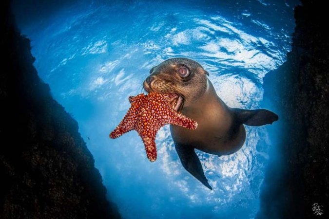 Dykresa - Explore Baja -10 Nätter 