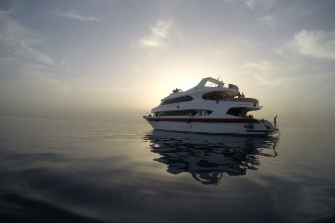 Emperor Asmaa (12).jpg