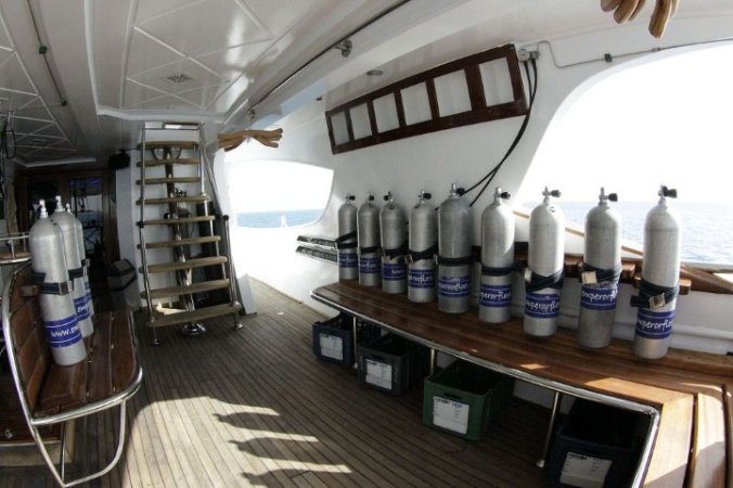 Emperor Asmaa (17).jpg