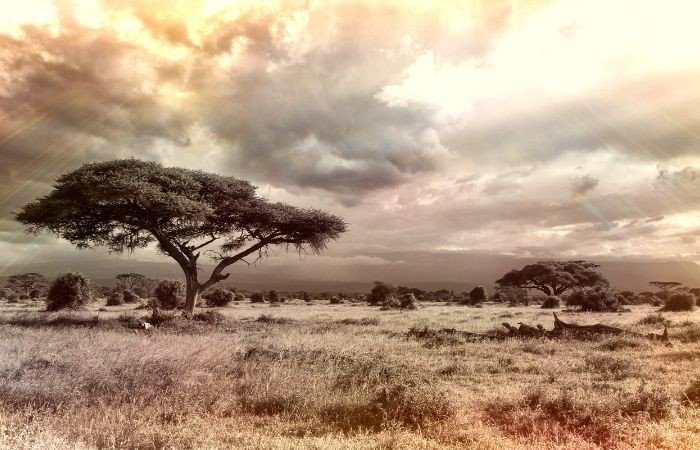 SouthAfrika (3) (Anpassat).jpg