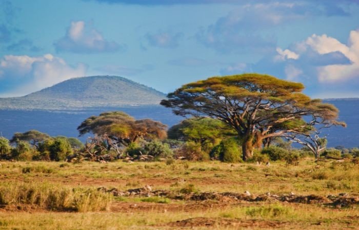 SouthAfrika (2) (Anpassat).jpg