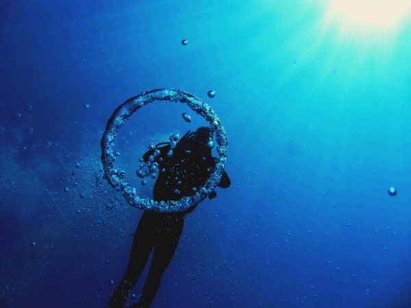 Marsa-Shagra-underwater (7) (Anpassat).jpg