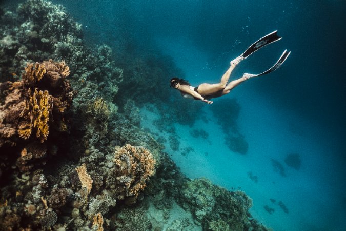 Fridykningsresa till Dahab med Elin Larsgren