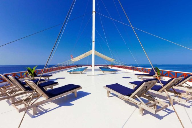 Nautilus-Maldives (81) (Anpassat).jpg