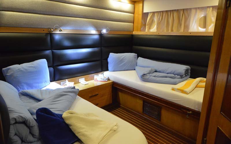 My Blue pearl Red Sea Liveaboard (31).jpg