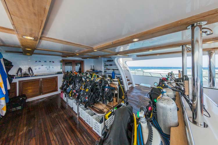 MY Blue Seas Red Sea Egypten Liveaboards (9).jpg