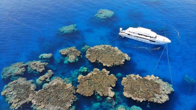 MY Blue Seas Red Sea Egypten Liveaboards (12).jpg