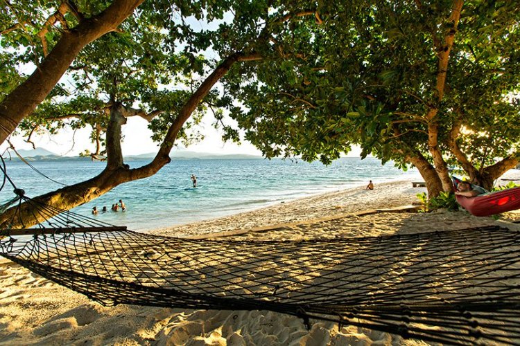 murex_bangka_10 (87).jpg