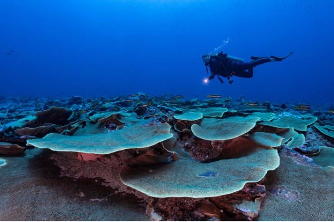 Dykresor till Palau (2) (Liten).jpg