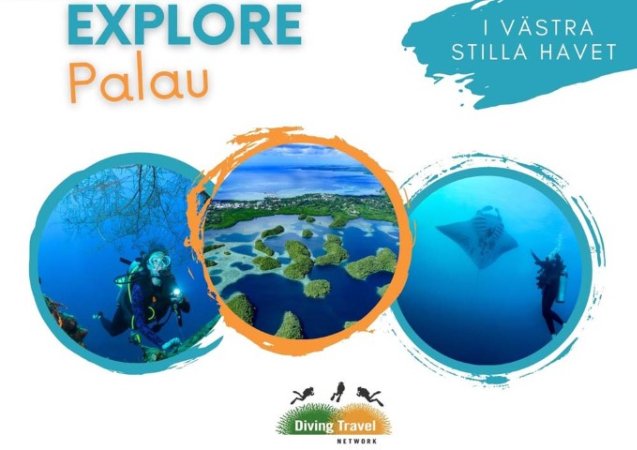 Dykresor till Palau (3) (Liten).jpg