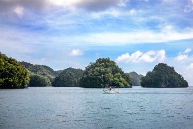 Dykresor till Palau (7) (Liten).jpg