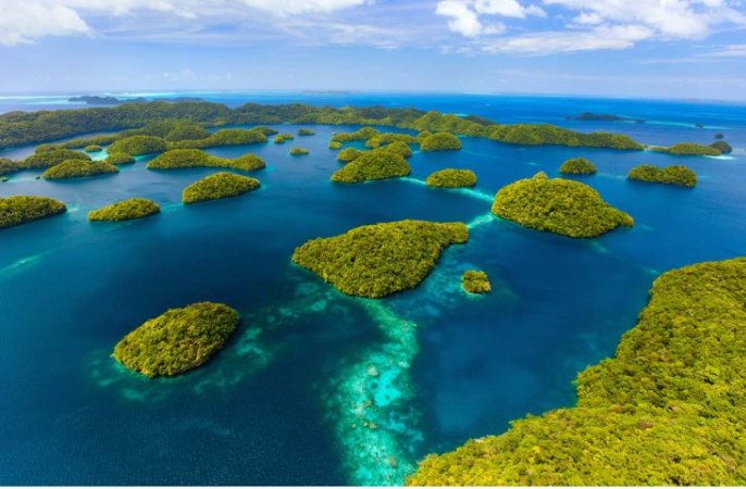 Palau Landbaserad Dykresa – 10 nätter