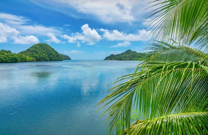 Dykresor till Palau (19) (Liten).jpg