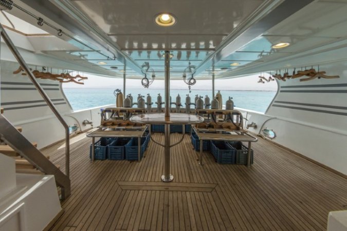 golden_dolphin_1 (2) (Liten).jpg