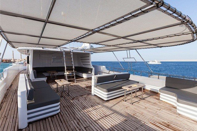 golden_dolphin_1 (3) (Liten).jpg