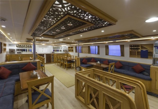 golden_dolphin_1 (4) (Liten).jpg