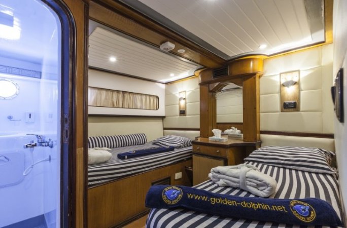 golden_dolphin_1 (5) (Liten).jpg