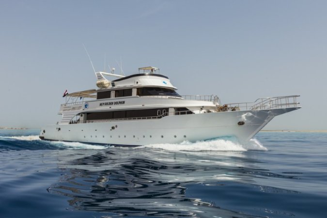 golden_dolphin_1 (8) (Liten).jpg