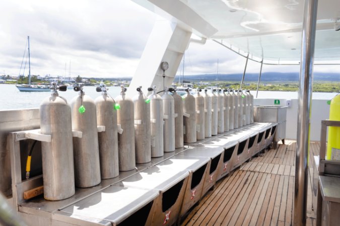 Galapagos-Liveaboard-Humboldt (1).png