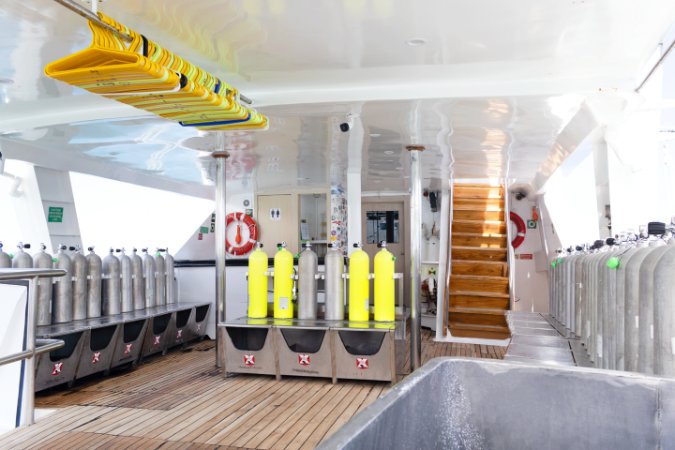 Galapagos-Liveaboard-Humboldt (2).png