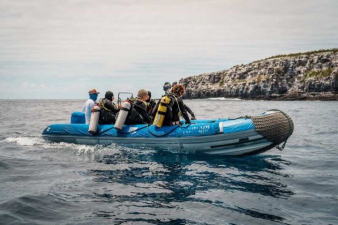 Galapagos-Liveaboard-Humboldt (16).jpg