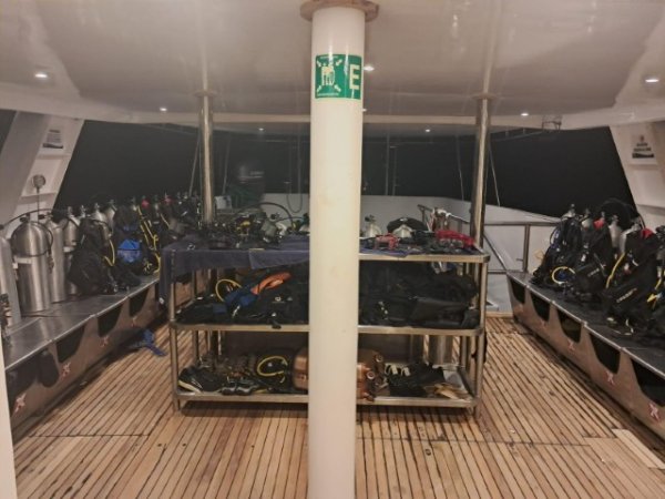 Galapagos-Liveaboard-Humboldt (23).jpg