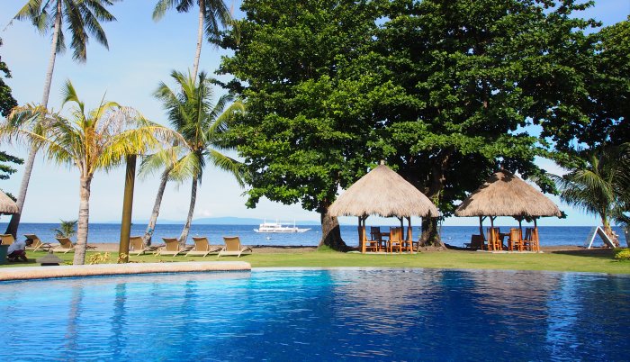 PuraVida_DiveResort (1) (Anpassat).png