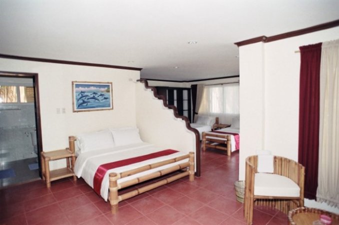 PuraVida_DiveResort (4) (Anpassat).jpg