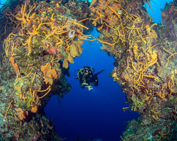 Yucatan_Playa_del_carmen (11).jpg