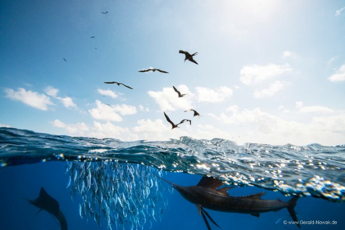 Yucatan_Playa_del_carmen (41).jpg