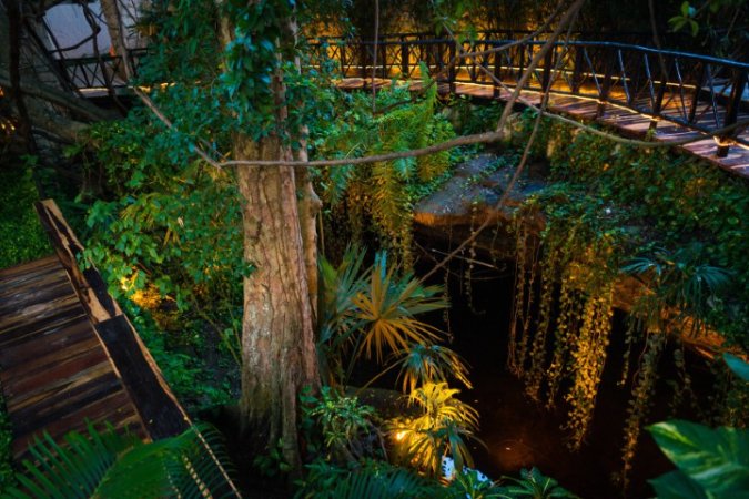 The_Reef_Playa_Car_Playa_del_carmen (4).jpeg