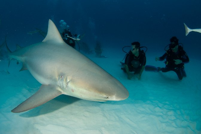 Yucatan_Playa_del_carmen (5).jpg