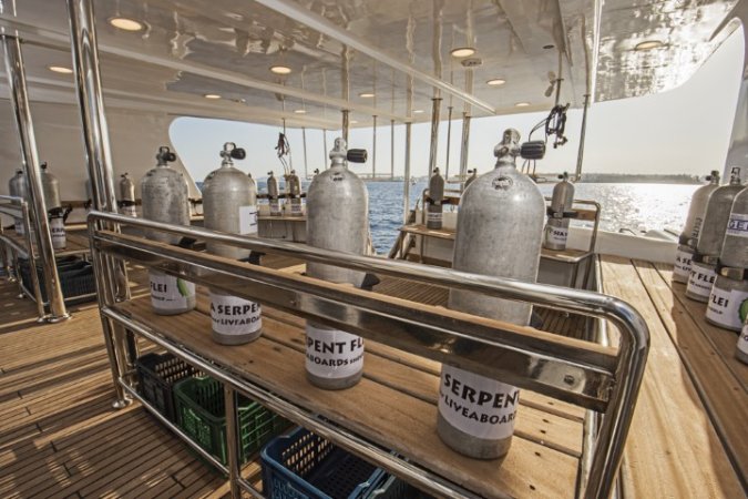 Sea Serpent Excellence  (5).jpg