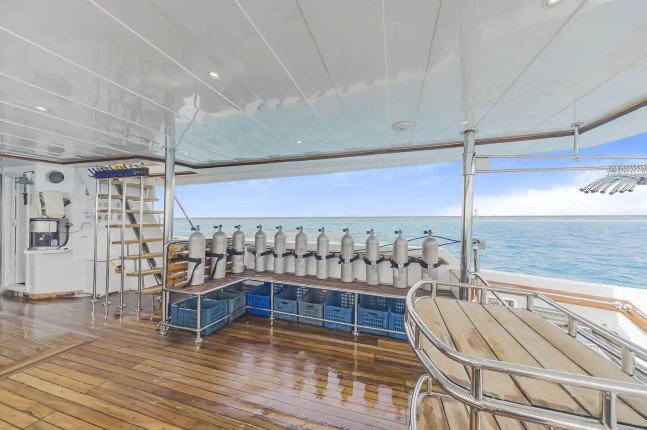 Seaserpent_serena_dream (4) (Anpassat).jpeg