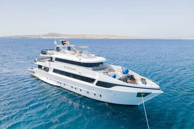 Sea Serpent Serena Dreams - 29 okt. 2026