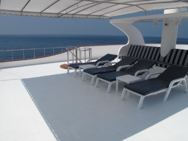 Carpe-Diem (5) (Anpassat).jpg