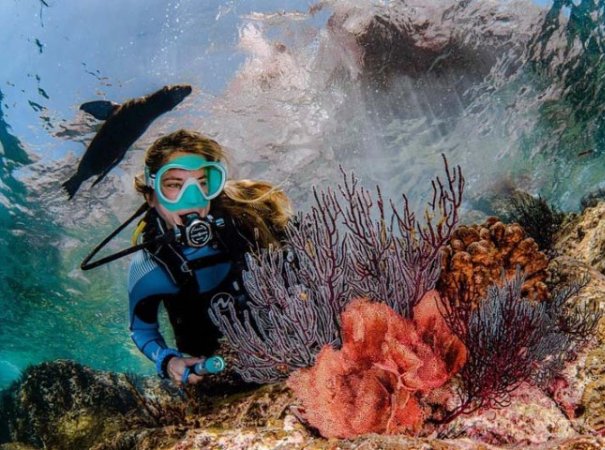 Diving-Baja California_ La paz (29).jpg