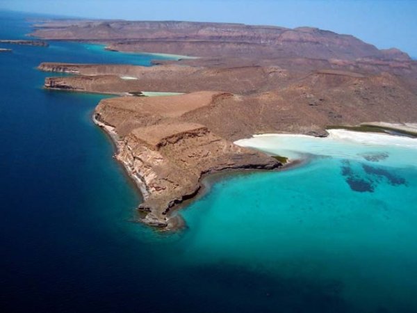 Diving-Baja California_ La paz (72).jpg