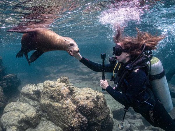 Diving-Baja California_ La paz (73).jpg