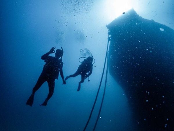 Diving-Baja California_ La paz (75).jpg