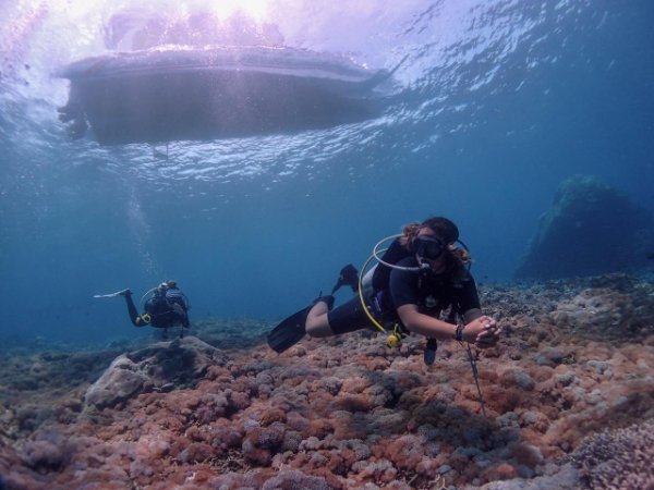 Fun Dive 3.JPG