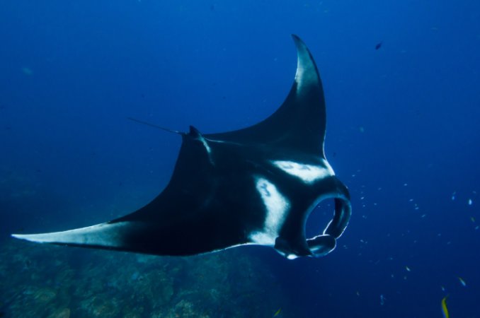 Lembongan (15) (Anpassat).png