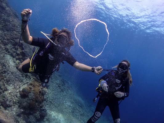 Bali Dive Adventure